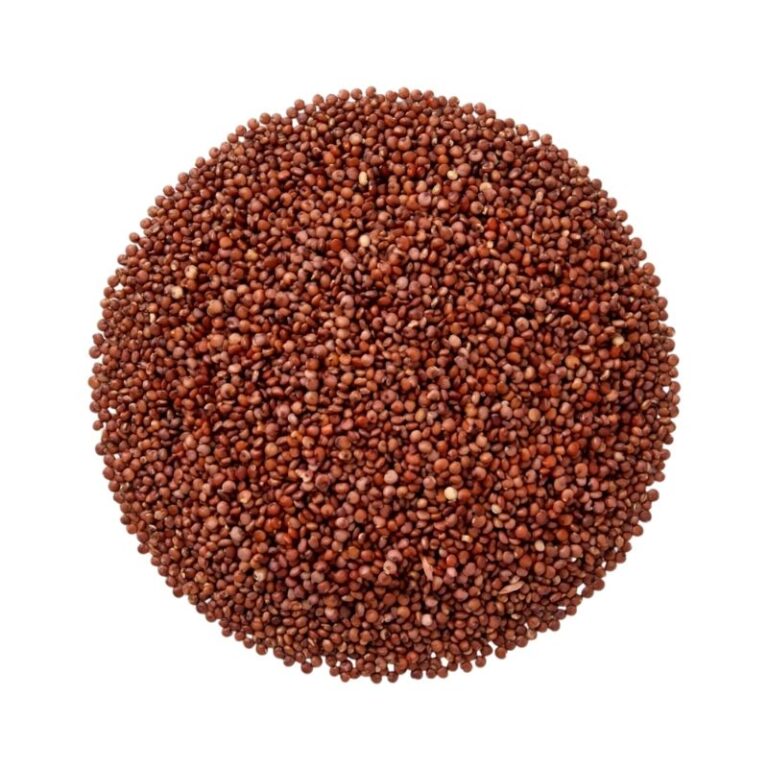 Semilla de Quinoa Roja